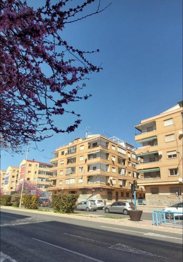 Sidi Ifni 7-9-2 Alicante Exterior photo
